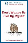 Don't Wanna Be Owl By Myself- an image of an owl pun