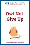 Owl Not Give Up- an image of an owl pun