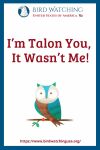 I’m Talon You, It Wasn’t Me!- an image of an owl pun