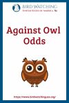 Against Owl Odds- an image of an owl pun
