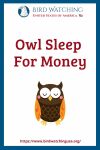 Owl Sleep For Money- an image of an owl pun