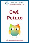 Owl Potato- an image of an owl pun