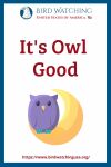 It's Owl Good- an image of an owl pun