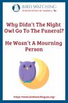 Why Didn’t The Night Owl Go To The Funeral? He Wasn’t A Mourning Person.- an image of an owl pun