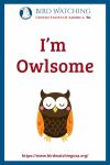 I’m Owlsome- an image of an owl pun