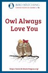 Owl Always Love You- an image of an owl pun