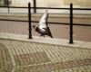 a pigeon flying with a bread crust around its neck