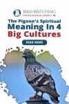The Pigeon's Spiritual Meaning in 4 Big Cultures Thumbnail