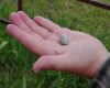 a sparrow egg in hand