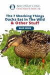 The 7 Shocking Things Ducks Eat in The Wild And Other Stuff Thumbnail