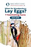 When Do Woodpeckers Lay Eggs? 13 Fascinating Facts Thumbnail