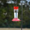 hanging hummingbird feeder