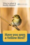 Have you seen a Yellow Bird? This is what it Really Means! Thumbnail